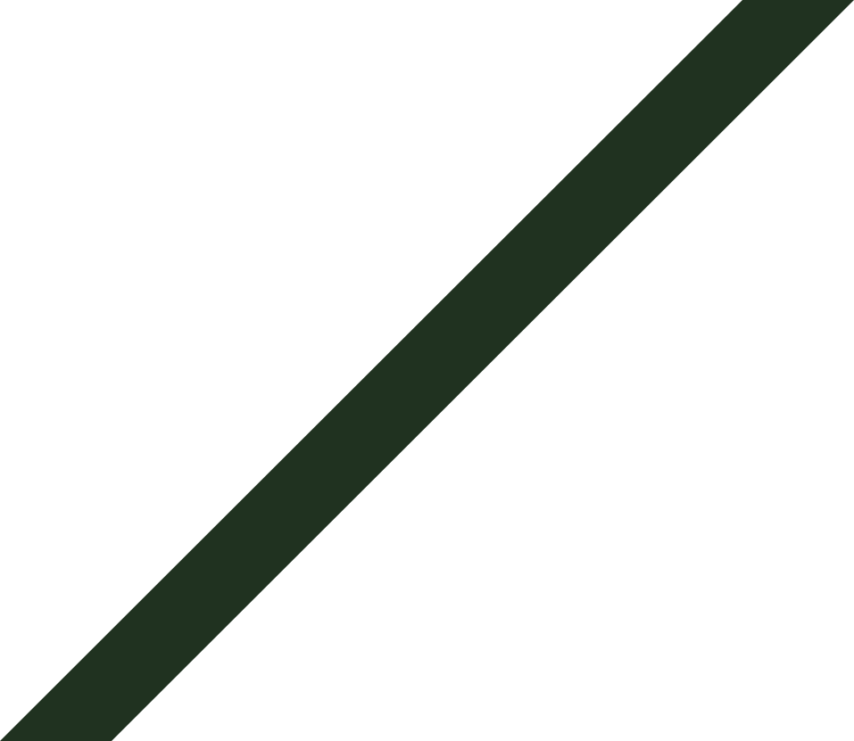 contact-one-shape-2-rtl