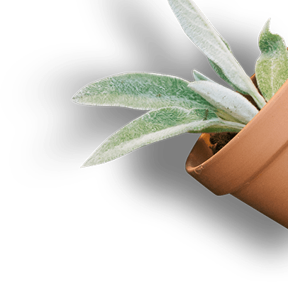 main-slider-three-shape-6