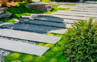 2025-peyzaj-trendleri