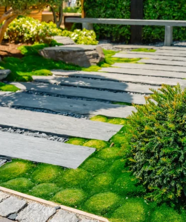 2025-peyzaj-trendleri