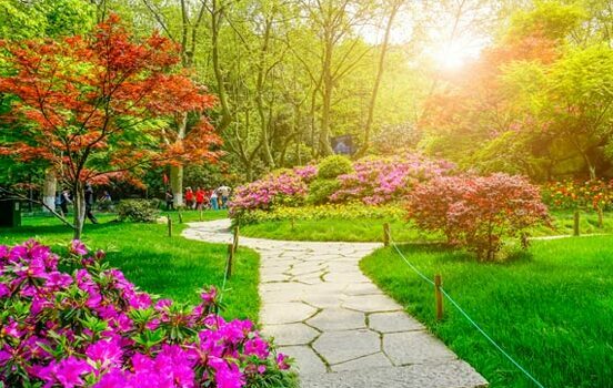 bahce-bakimi-garden-service-peyzaj